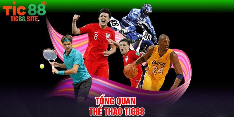 Tổng quan thể thao Tic88