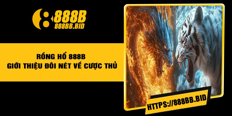 Rồng Hổ 888B – Giới thiệu đôi nét về cược thủ
